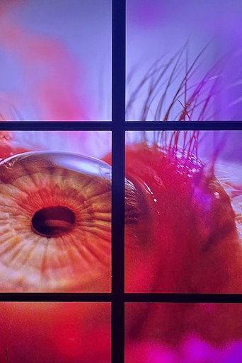 Movie poster for Peeping Freedom Shutters for Osakabe Sayaka (Apollomat vertical screen PFS_D) (2020)