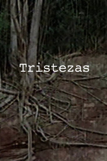 Movie poster for Sorrows (2014)