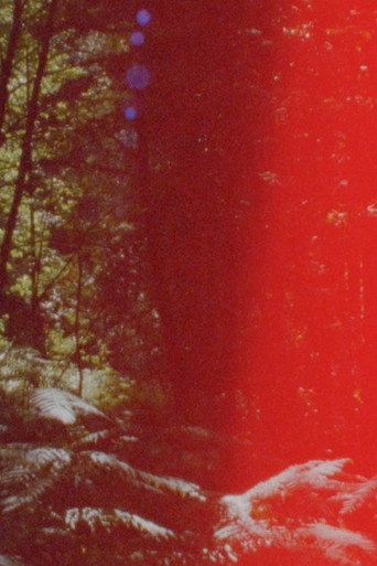 Movie poster for Newsreel 670 – Red Forests (2022)