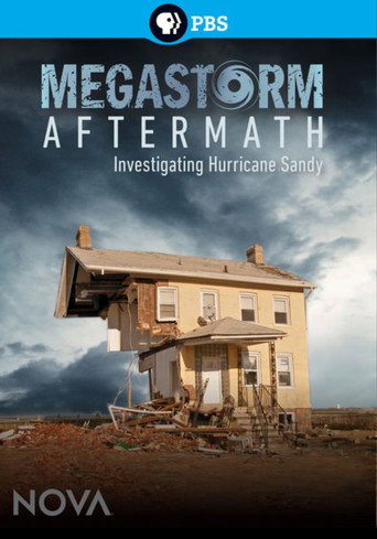 Movie poster for Megastorm Aftermath (2013)