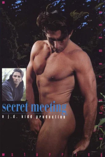 Movie poster for Secret Meeting (1991)