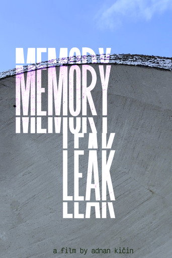Movie poster for Memory Leak (2025)