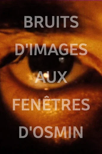 Movie poster for Image Noise (Osmin's Windows) (1984)