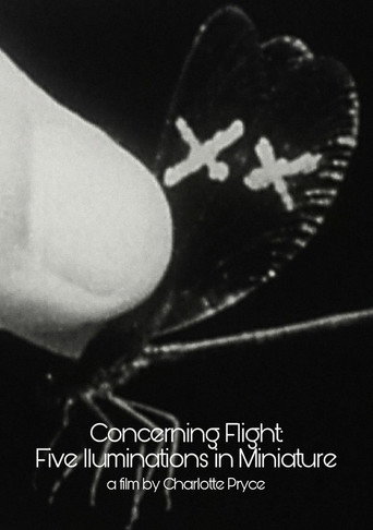 Movie poster for Concerning Flight: Five Illuminations In Miniature (2004)