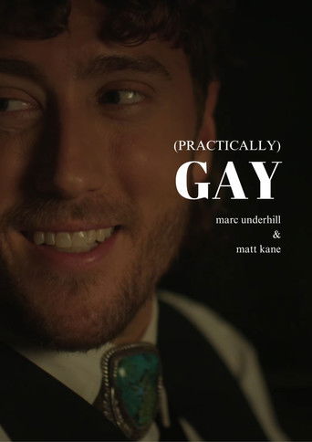 (Practically) Gay poster