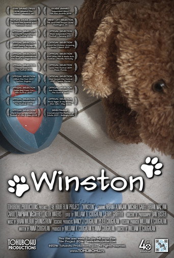 Movie poster for Winston (2016)