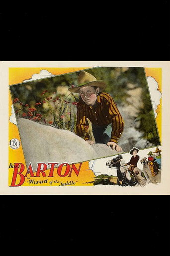 Movie poster for Wizard of the Saddle (1928)