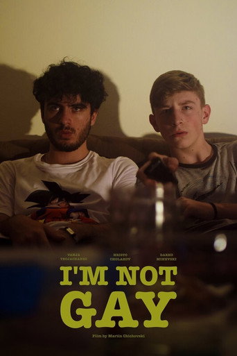 Movie poster for I’m Not Gay (2020)