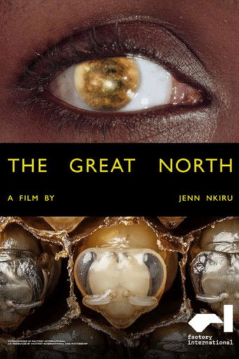 The Great North poster