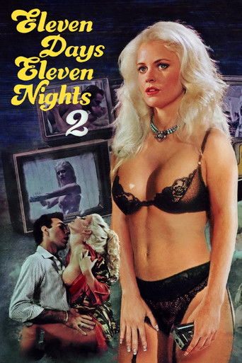 Eleven Days, Eleven Nights 2 poster