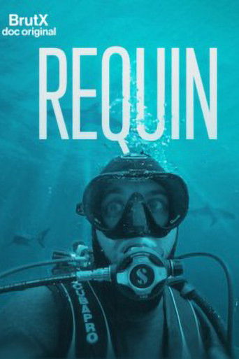 Requin poster