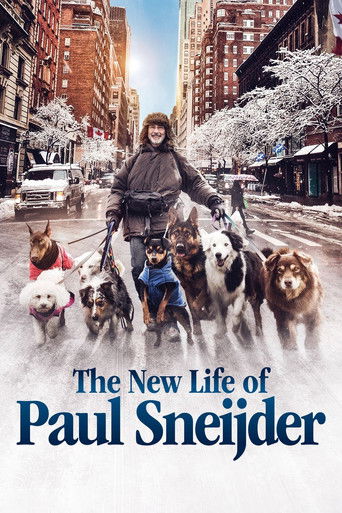 The New Life of Paul Sneijder poster