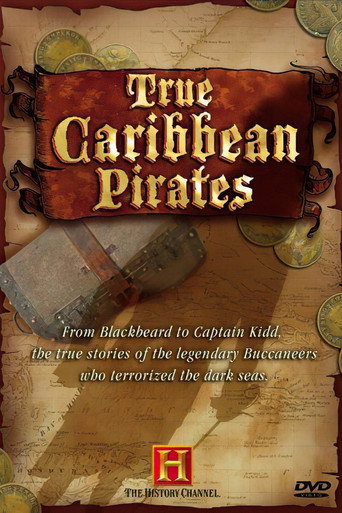 Movie poster for True Caribbean Pirates (2006)