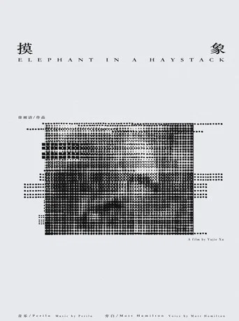 Movie poster for Elephant in a Haystack (2022)