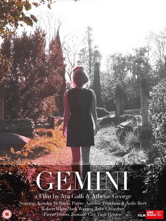 Movie poster for Gemini