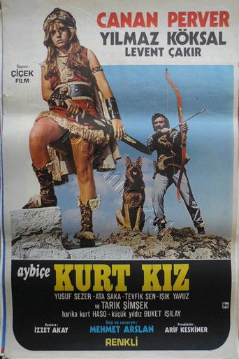 Aybiçe Kurt Kız poster