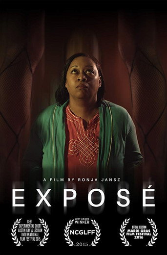 Movie poster for Exposé (2015)