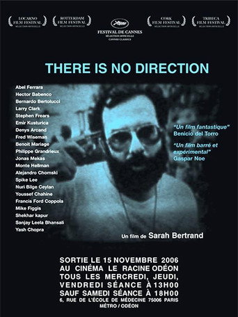 Movie poster for There Is No Direction (2006)