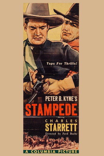 Movie poster for Stampede (1936)