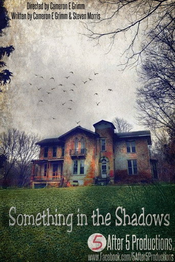 Movie poster for Something in the Shadows (2021)