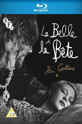 Movie poster for Cocteau's Dreams in Digital, The Story of Beauty and the Beast (2013)
