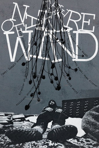 Movie poster for The Nature of Wind (2024)