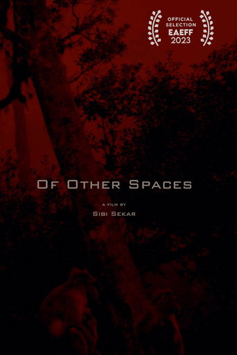 Movie poster for Of Other Spaces (2021)