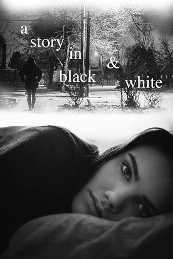 Movie poster for A Story in Black & White (2016)