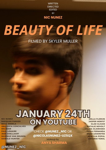 Movie poster for Beauty of Life (2025)