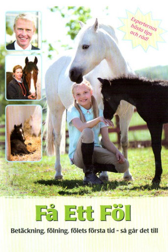 Movie poster for Få ett föl (2011)