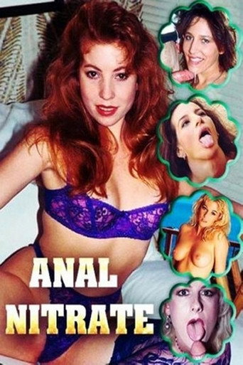 Movie poster for Anal Nitrate (1995) AKA Anal Factory 4 (1995)