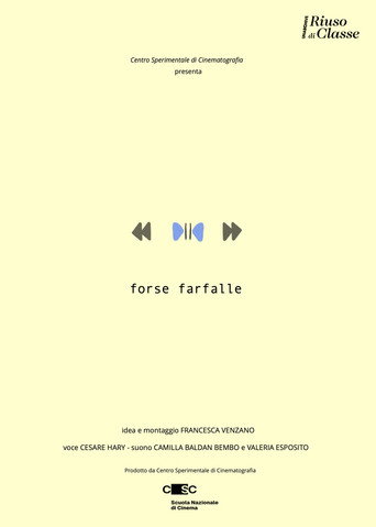 Movie poster for Forse farfalle (2026)