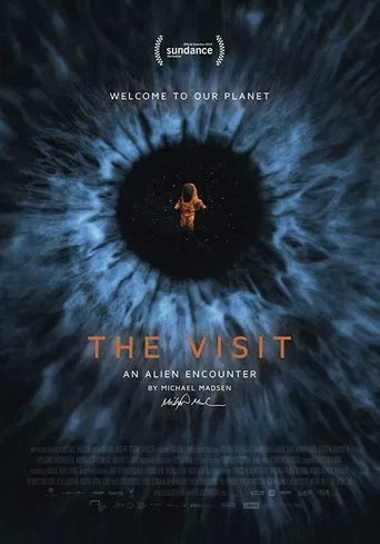 Movie poster for The Visit: An Alien Encounter (2015)