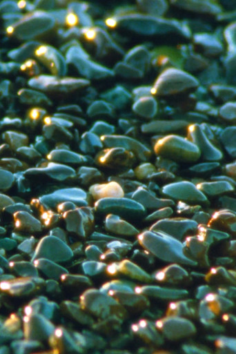 Movie poster for Jasper Beach and The Salt Marsh (2023)