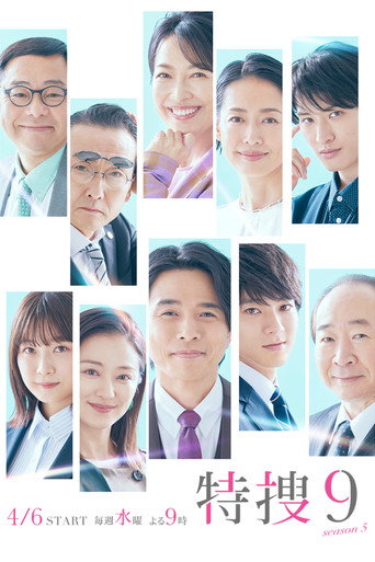 Series poster for Special Investigation Nine (2018)