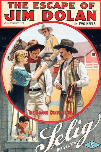 Movie poster for The Escape of Jim Dolan (1913)