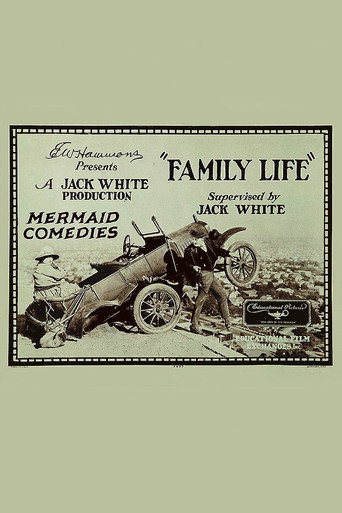 Movie poster for Family Life (1924)