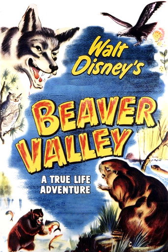 Movie poster for Beaver Valley (1950)