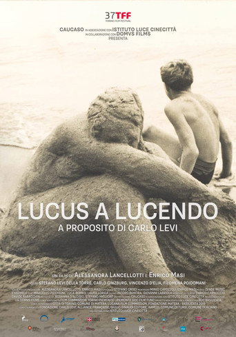 Movie poster for Lucus a Lucendo - A proposito di Carlo Levi (2019)