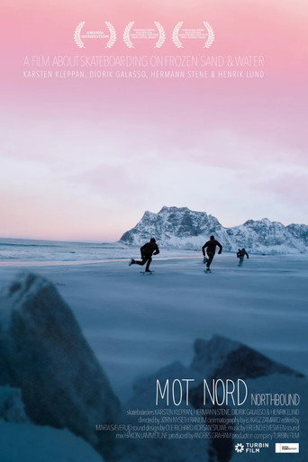 Movie poster for Northbound: Skateboarding on Frozen Sand (2015)