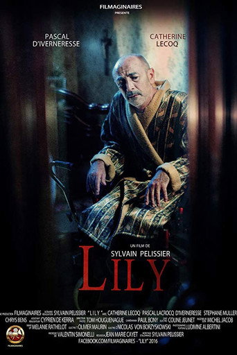 Movie poster for Lily (2016)