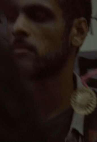 Movie poster for Diario ordinário (2019)