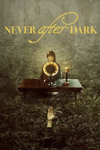Never After Dark poster