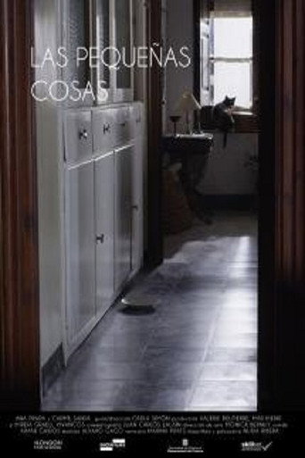 Movie poster for Las pequeñas cosas (2015)