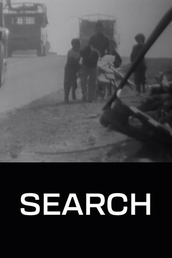 The Search poster