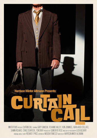 Movie poster for Curtain Call