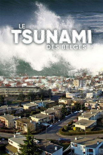 Le Tsunami des belges poster