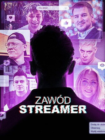 Zawód: Streamer poster