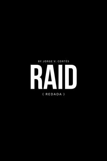 Movie poster for Raid