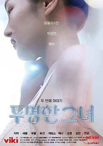 The Transparent Girls Second Story poster